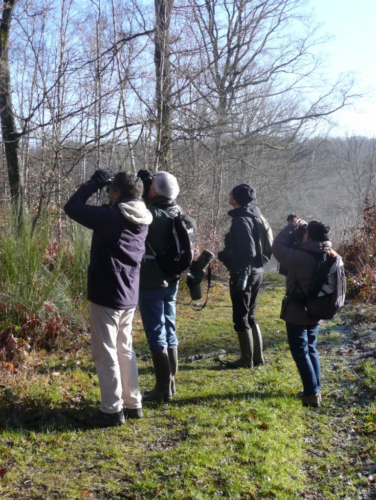 P1280446 [Résolution de l'écran]